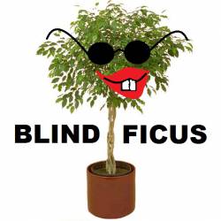Blind Ficus